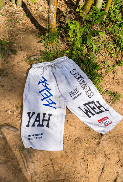 Refined Shorts