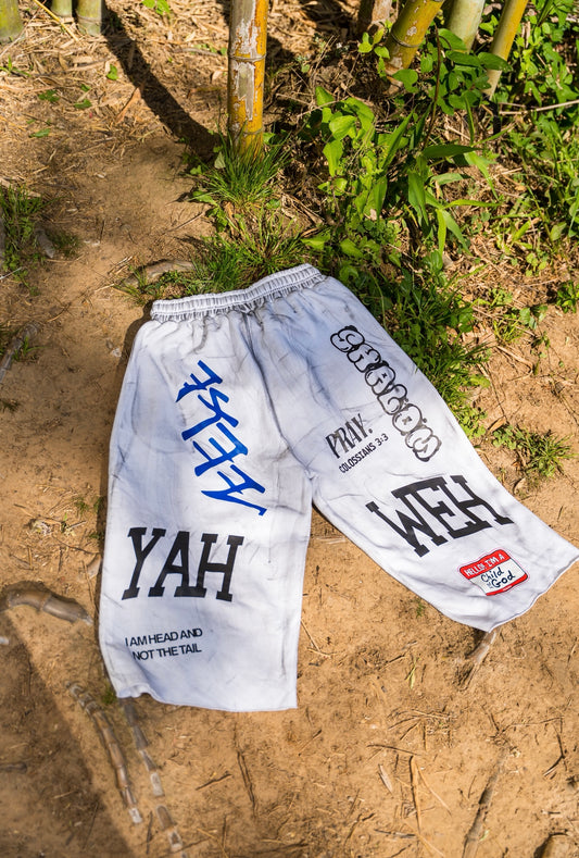 Refined Shorts